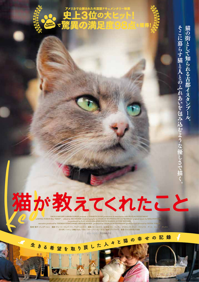 猫の街 トルコのイスタンブールで暮らす野良猫たちのドキュメンタリー映画 猫が教えてくれたこと 日本版予告編映像が公開 Amass