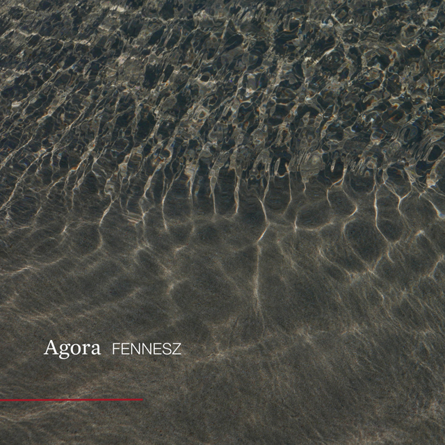 「Fennesz / Agora」の画像検索結果