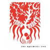 Turin Brakes / The Optimist Live