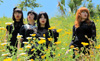 ダム・ダム・ガールズ（Dum Dum Girls）　「Season in Hell」のライヴ映像を公開