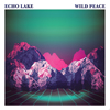 英シューゲイズ・バンドEcho Lake、最新作『Wild Peace』から「Another Day」のPVが公開