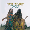 スウェーデンの姉妹フォークデュオ、ファースト・エイド・キットが「Wolf」のPVを公開　