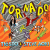 TiestoとSteve Aokiのコラボ曲「Tornado」、PVが公開