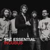 インキュバスの廉価2CDベスト『Essential Incubus』が10月発売