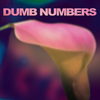 Dumb Numbers / Dumb Numbers