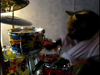 猫ドラマーの映像「Best drummer cat ever」がYouTubeで話題に