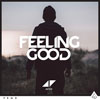 Aviciiがニーナ・シモン「Feeling Good」をVOLVOとコラボでカヴァー、PV公開