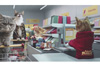 猫たちが通うネコ専用のスーパーマーケットを描いたCM映像が話題に
