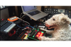 テクノ／ハウス・トラックを制作中？　犬ミュージシャンの動画が話題に