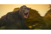 キングコング映画の新作『キングコング：髑髏島の巨神』　IMAX版予告編映像が公開