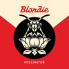 Blondie / Pollinator