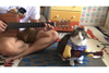 猫ギタリストの映像が話題に