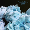 Kompakt恒例コンピの最新作『Pop Ambient 2018』が11月発売、1曲試聴可