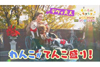 開運犬や鉄道オタク犬などワンコ尽くしの73分　NHK『もふもふモフモフ わんわんスペシャル』1月6日放送