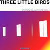 マルーン5がボブ・マーリーの「Three Little Birds」をカヴァー　ミュージックビデオ公開