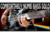 “ピンク・フロイド「Comfortably Numb」のギター・ソロをベース・ギターで演奏してみた”映像が話題に