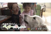なぜ犬は人の心を癒やすのか？セラピー犬と少女の物語　NHKスペシャル『ベイリーとゆいちゃん』1月27日放送