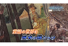童話の裏に隠された歴史の闇事件に迫る　NHK『ダークサイドミステリー』5月23日放送