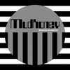 Mudhoney / Morning In America