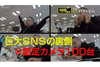 ツイッター社の裏側に固定カメラ100台で潜入　NHK『のぞき見ドキュメント 100カメ』1月27日放送