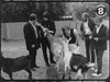 The Beach Boys Pet Sounds Shoot at San Diego Zoo 1966
