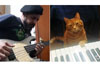 “TikTokで人気の猫ピアニストの即興演奏にベースを加えてみた”映像が話題に