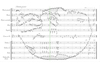 イスラエルの作曲家　愛猫への追悼として猫の形をした楽譜を描く　演奏可能なオリジナル曲　演奏音源公開中