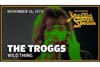 ザ・トロッグス　73年米TV番組『The Midnight Special』から「Wild Thing」のライヴ映像公開