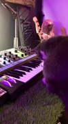 猫キーボーディストによるシンセサイザーのパワフルな即興演奏が話題に