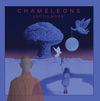The Chameleons / Arctic Moon