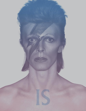 デヴィッド・ボウイの回顧展『DAVID BOWIE is』のオフィシャル