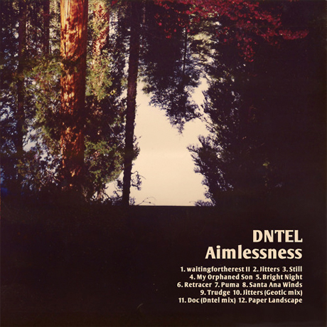 Dntel / Aimlessness