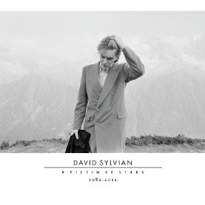 David Sylvian / A Victim of Star 1982-2012