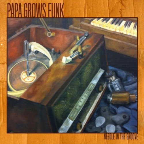 Papa Grows Funk / Needle in the Groove