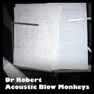 Dr Robert / Acoustic Blow Monkeys