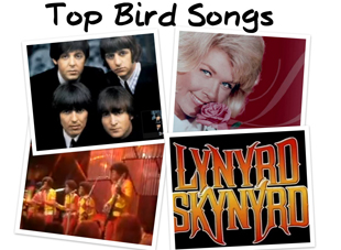 Top Bird Songs - Birds & Blooms Magazines