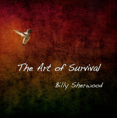 Billy Sherwood / The Art Of Survival