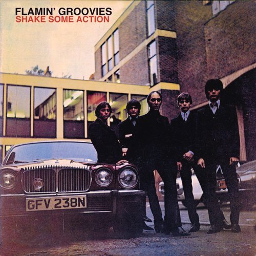 The Flamin' Groovies / Shake Some Action