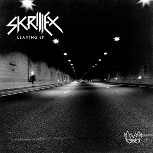 Skrillex / Leaving EP