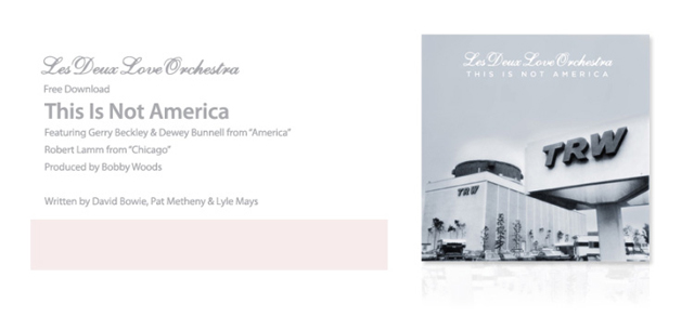 Les Deux Love Orchestra / This Is Not America