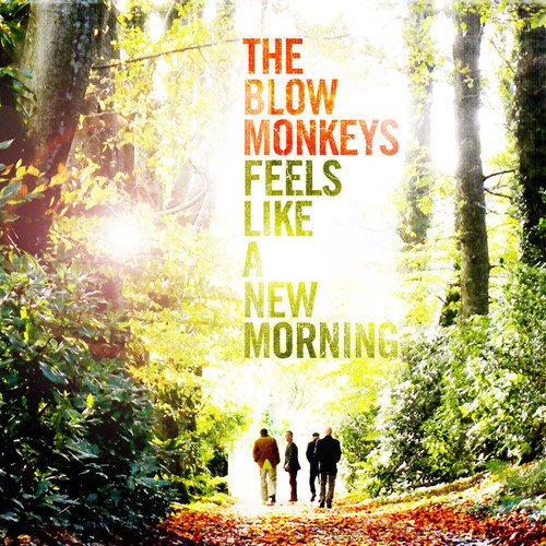 Blow Monkeys / Feels Like A New Morning