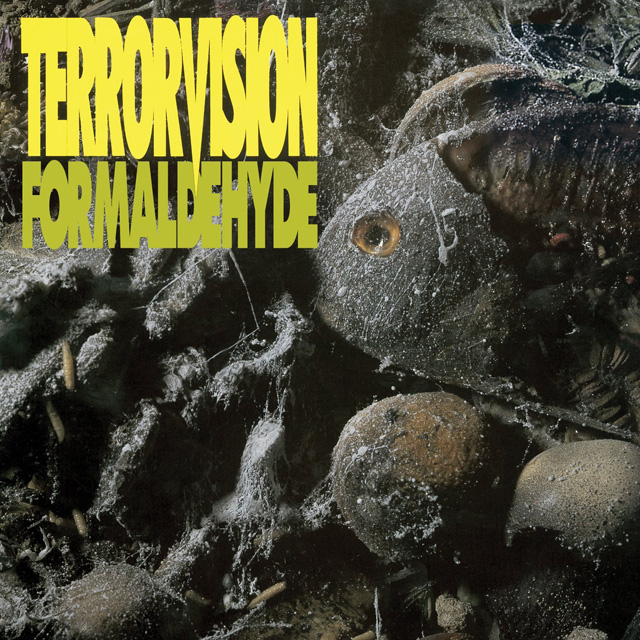 Terrorvision / Formaldehyde
