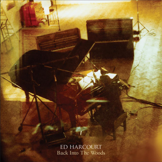 Ed Harcourt / Back Into the Woods