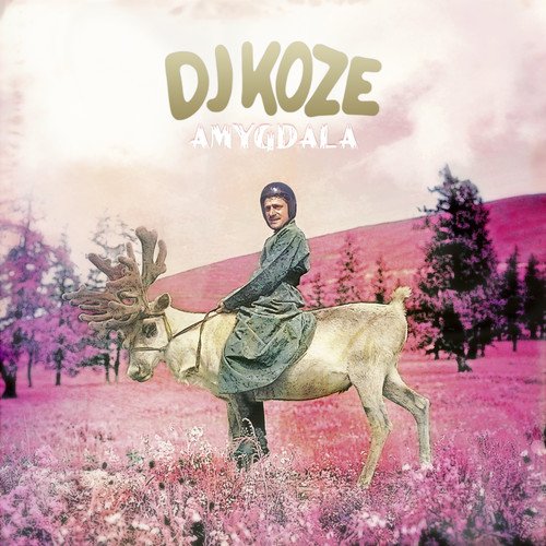 DJ Koze / Amygdala