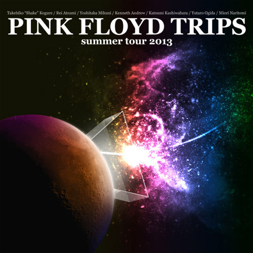 PINK FLOYD TRIPS