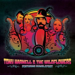 Tony Harnell & the Wildflowers / Tony Harnell & the Wildflowers (feat. Bumblefoot)