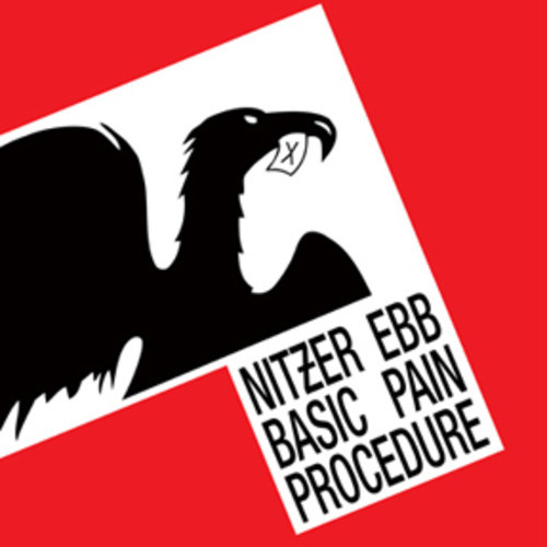 Nitzer Ebb / Basic Pain Procedure