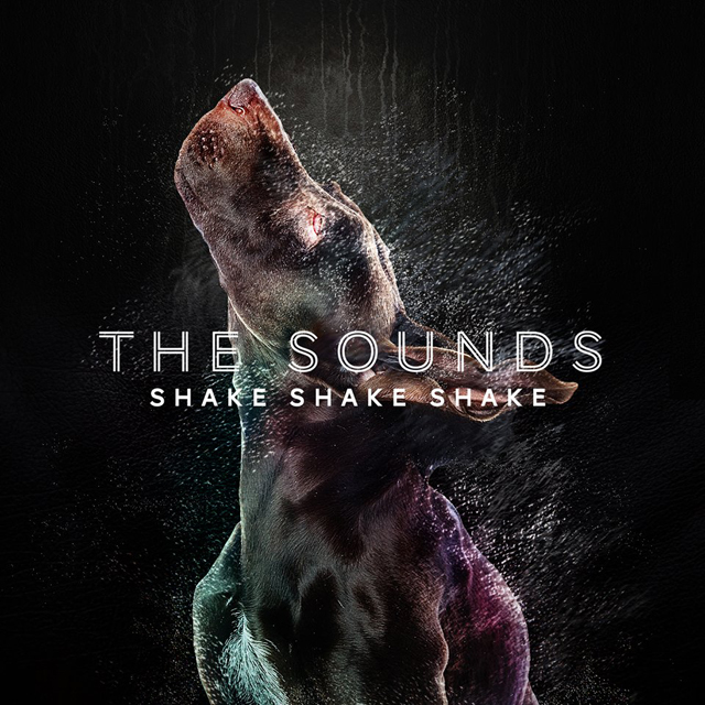 The Sounds / Shake Shake Shake