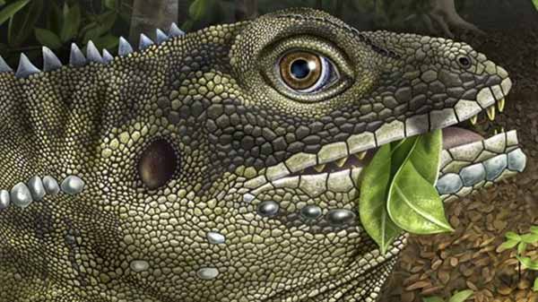 巨大な草食トカゲ「Barbaturex morrisoni」の想像図