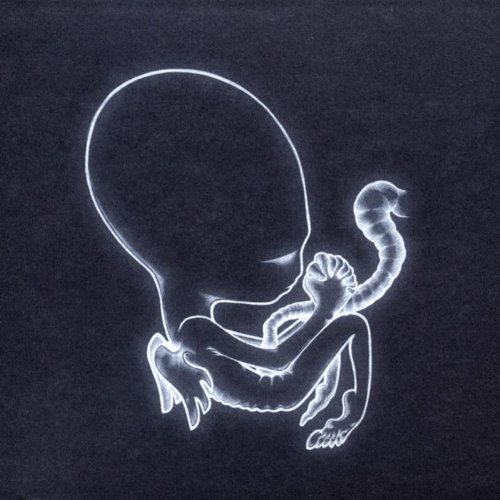 Sigur Ros / Agaetis Byrjun